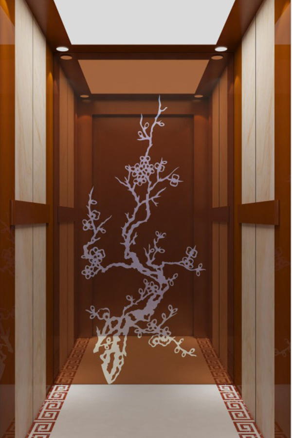 DOER-V25新中式別墅電梯