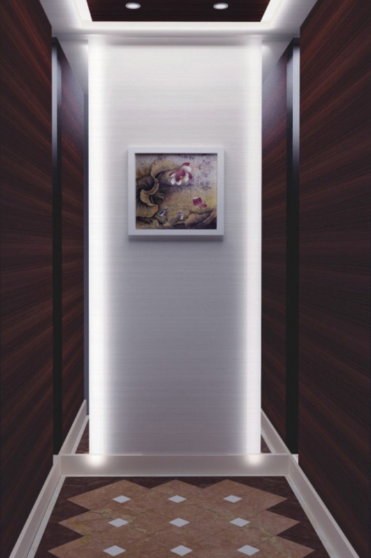 DOER-V33現代簡約別墅電梯