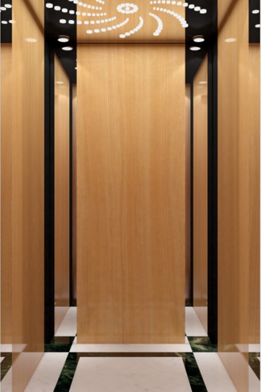 DOER-V37現代簡約別墅電梯