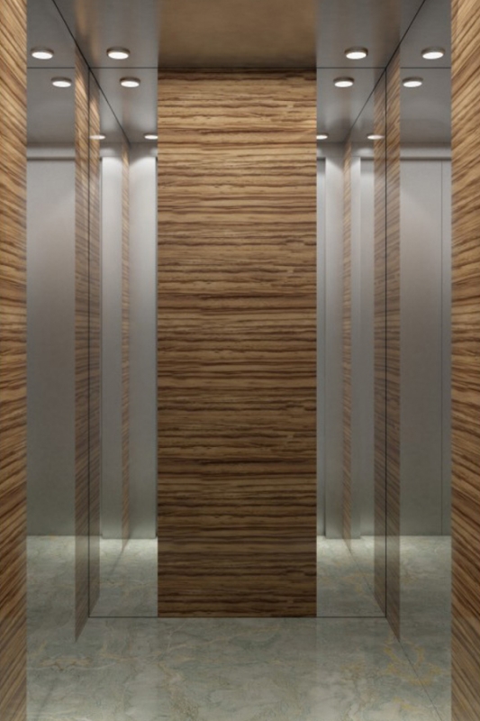 DOER-VO9現代簡約別墅電梯